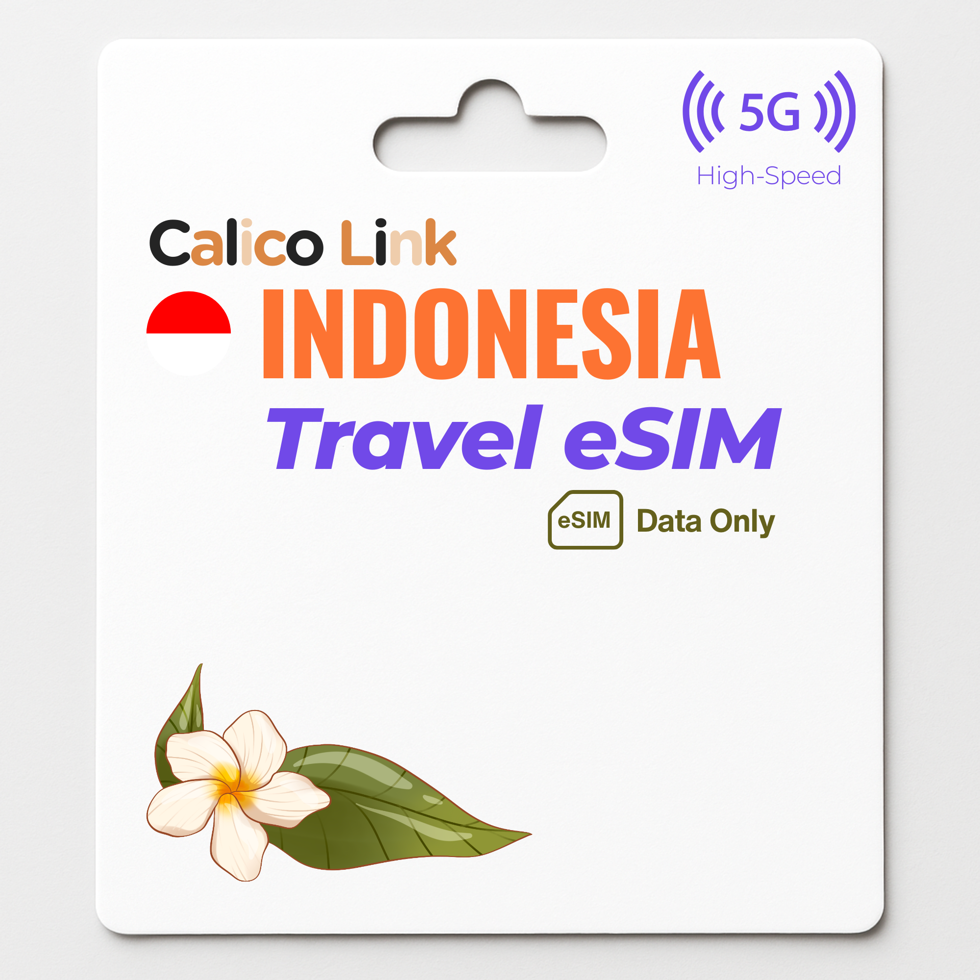 Indonesia Travel eSIM | 5G Data